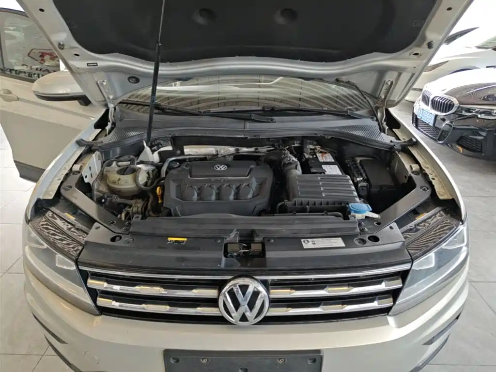 Volkswagen Tiguan L 2019 330TSI Automatic 2WD Trend Edition China VI фото 20