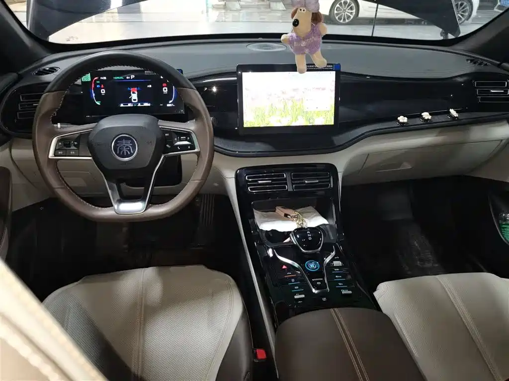 BYD Qin PLUS 2023 Champion Edition DM-i 55KM Leading фото 6