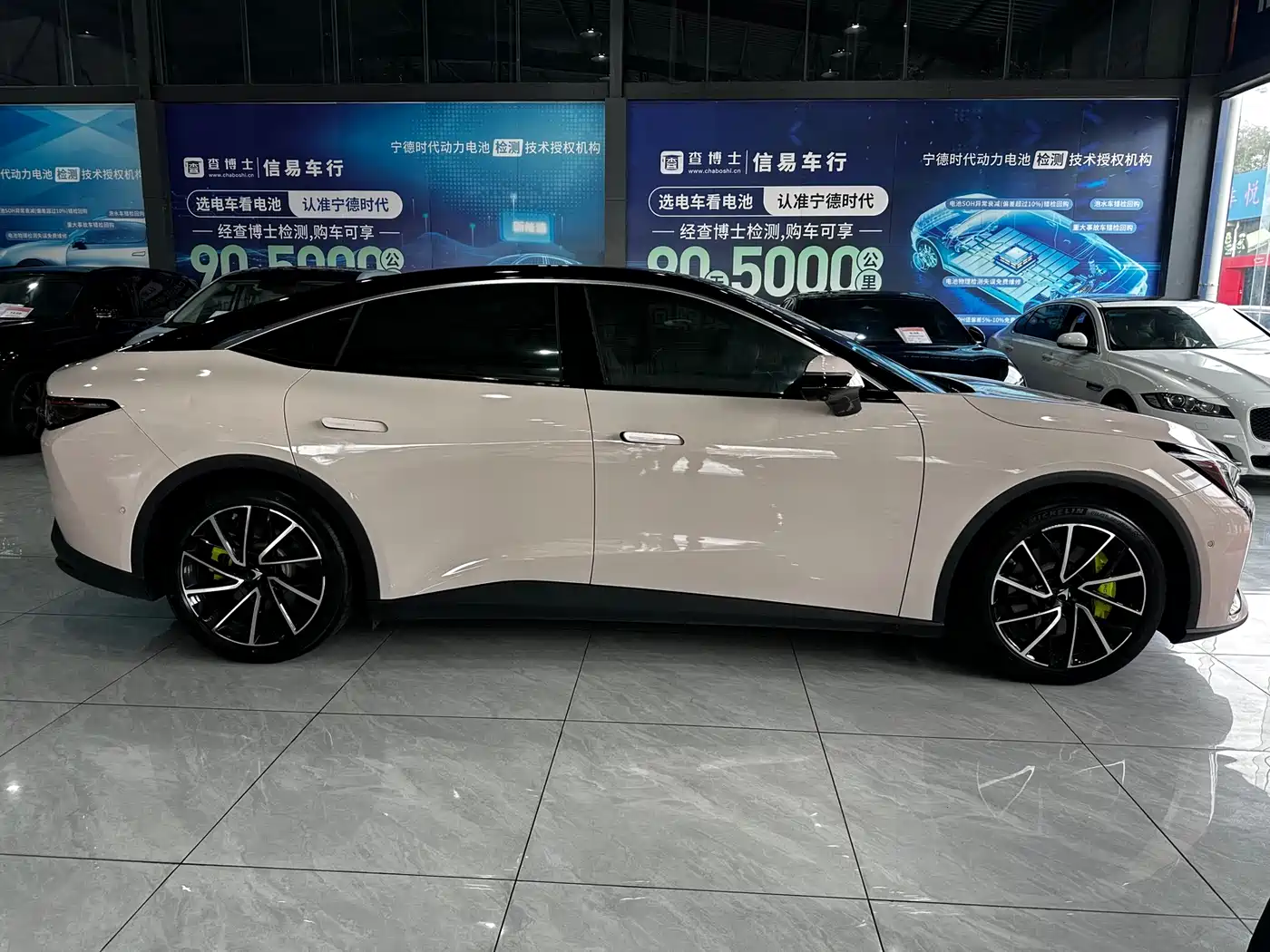 ARCFOX EXTREME FOX POLAR FOX ALPHA S5