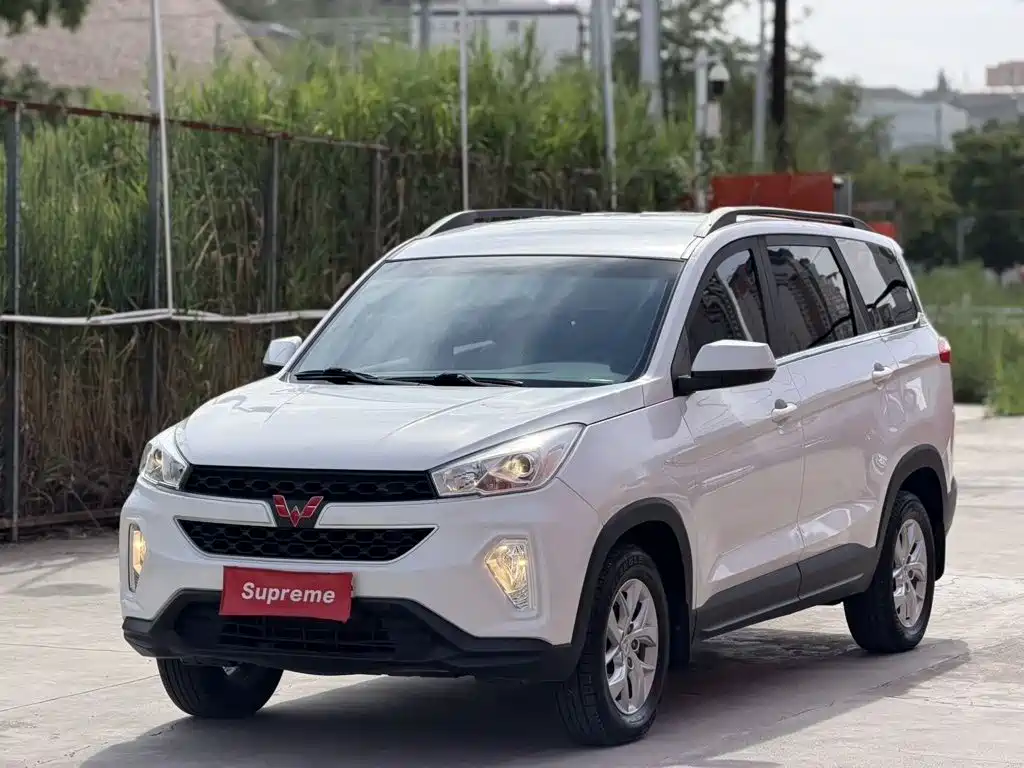Wuling Motors Wuling Hongguang S3
