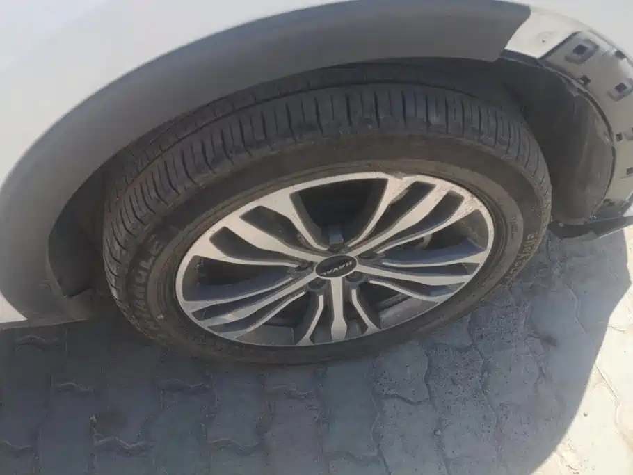 Haval F7 2021 2021 2.0T AWD i-Joy