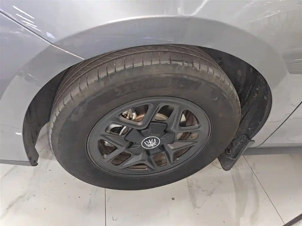 BYD Qin PLUS 2024 Glory Edition DM-i 55KM Leading фото 23