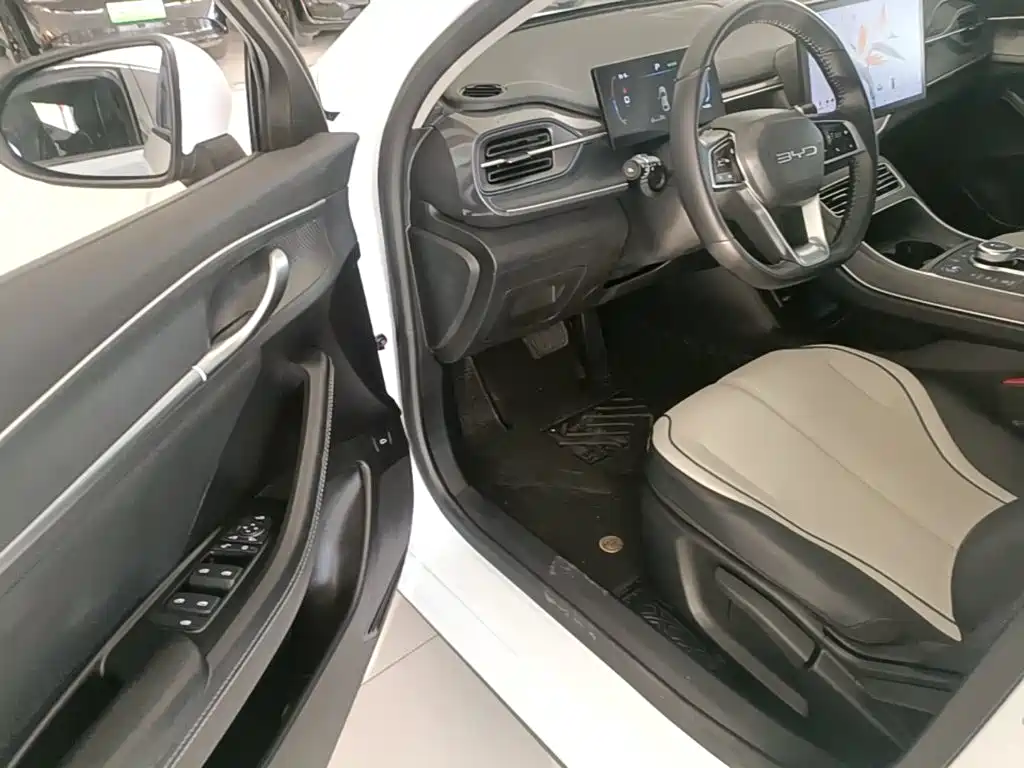 BYD Destroyer 05 2024 2024 Glory Edition DM-i 55KM Luxury