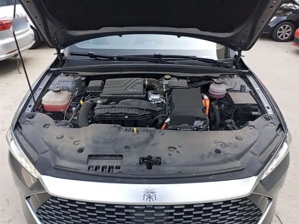 BYD Qin PLUS 2024 Glory Edition DM-i 55KM Leading фото 20