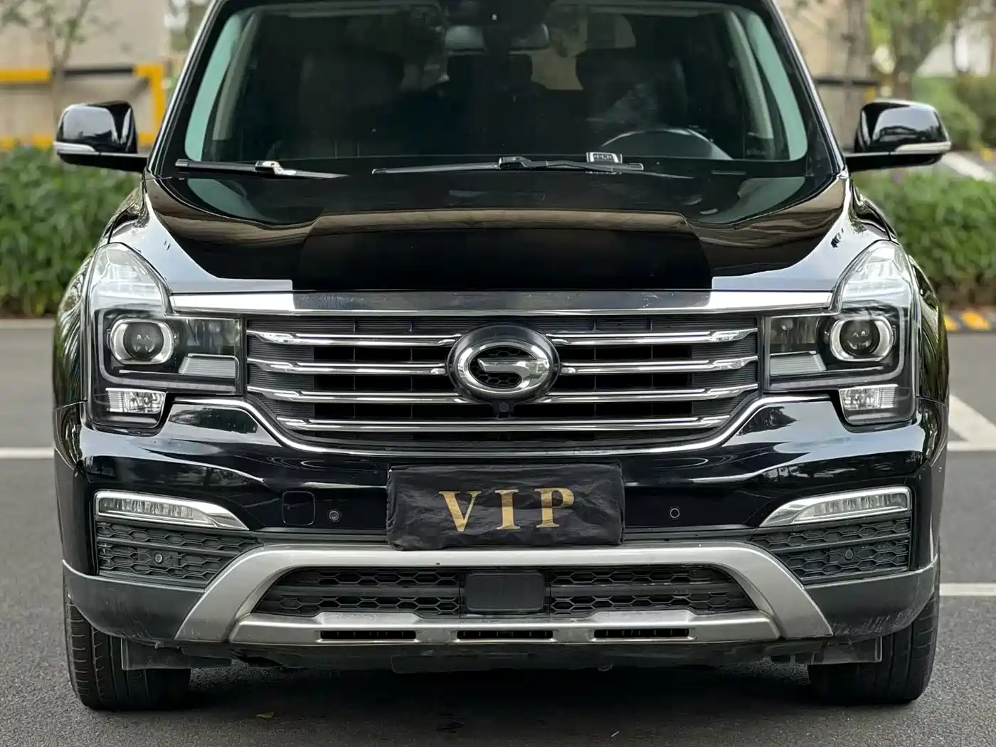 GAC Trumpchi Trumpchi GS8 2017 320T 2WD Luxury Edition (7-Seater) фото 3