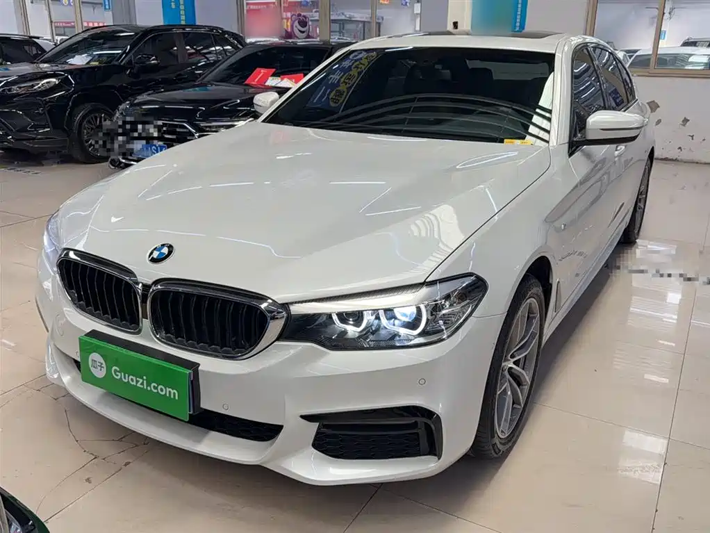 BMW 5 Series 2019 525Li M Sport Package фото 7