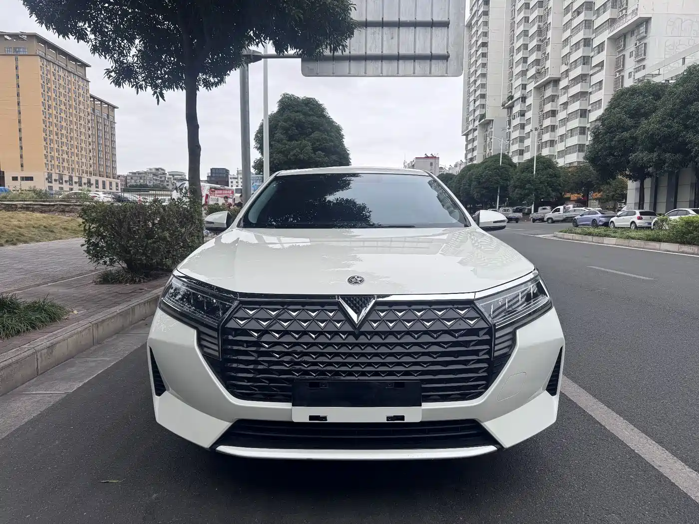2024 Venucia D60