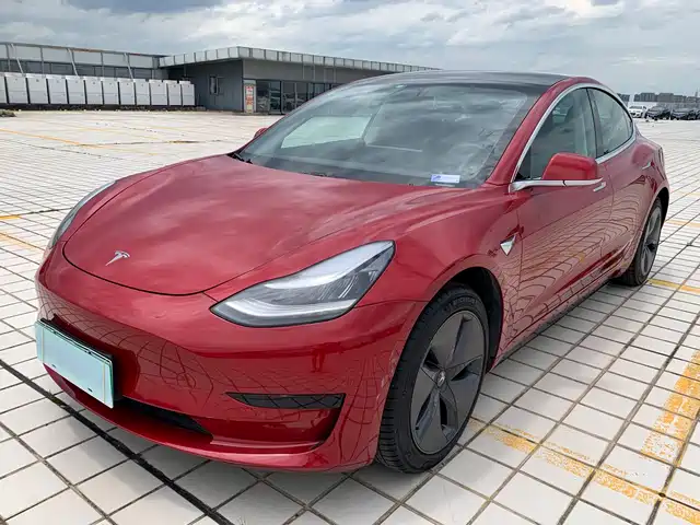 Tesla Model 3 (Import) 2019 Standard Range RWD Upgraded Edition — фото 1