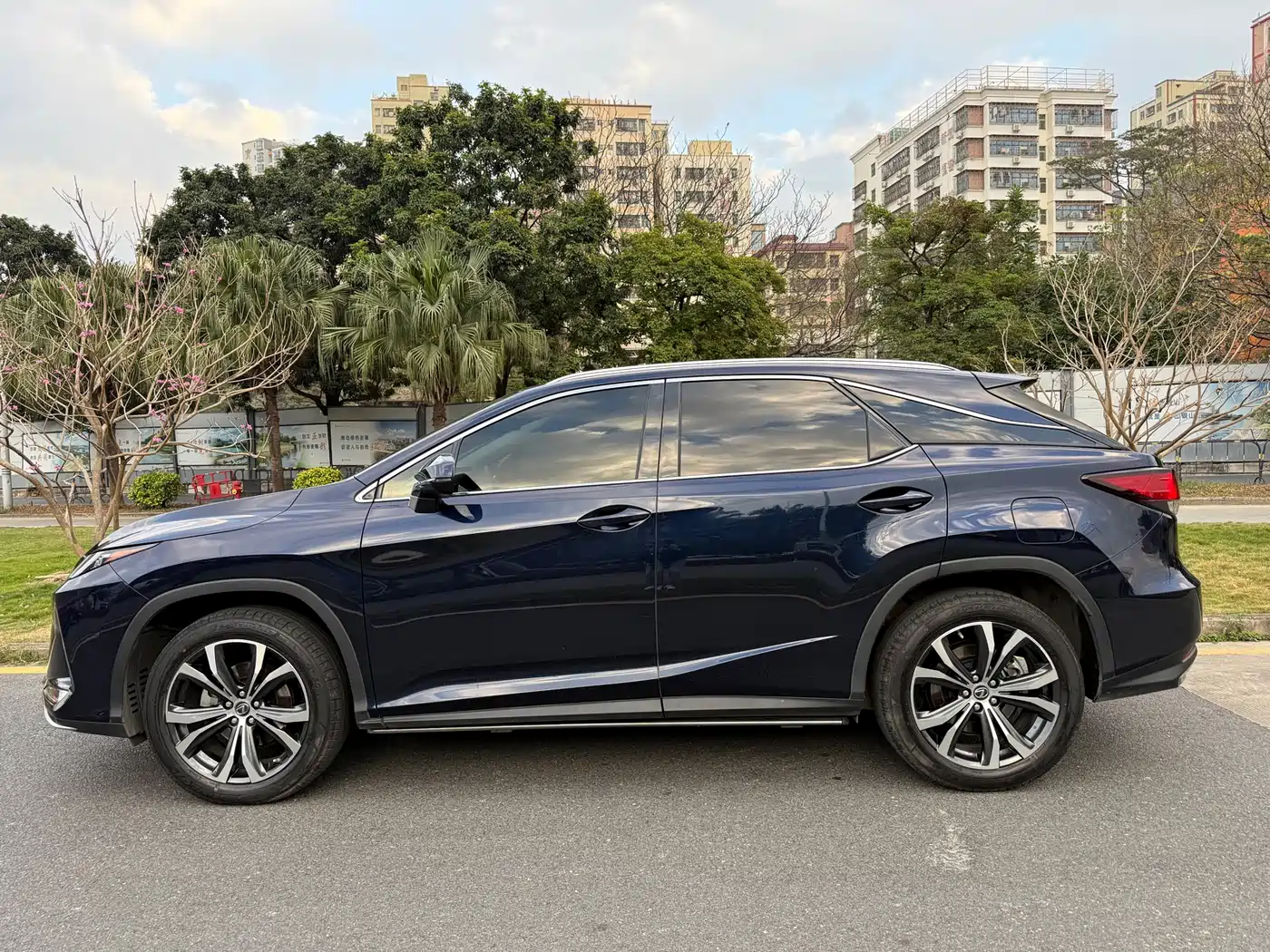 LEXUS RX
