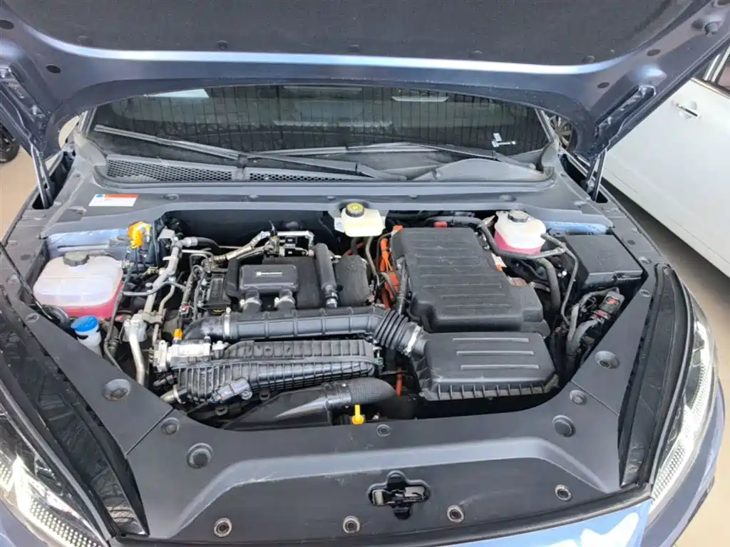 BYD Seal 06 New Energy 2024 DM-i 80KM Prestige фото 20