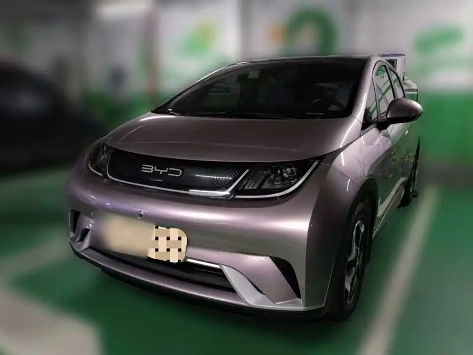 BYD Dolphin 2021 Model 405km Fashion Edition фото 25