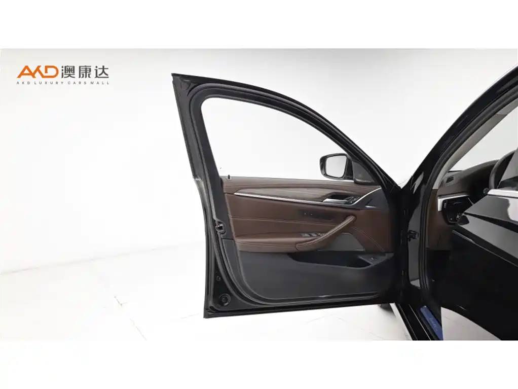 BMW 5 Series 2020 530Li Premium Luxury Package фото 10