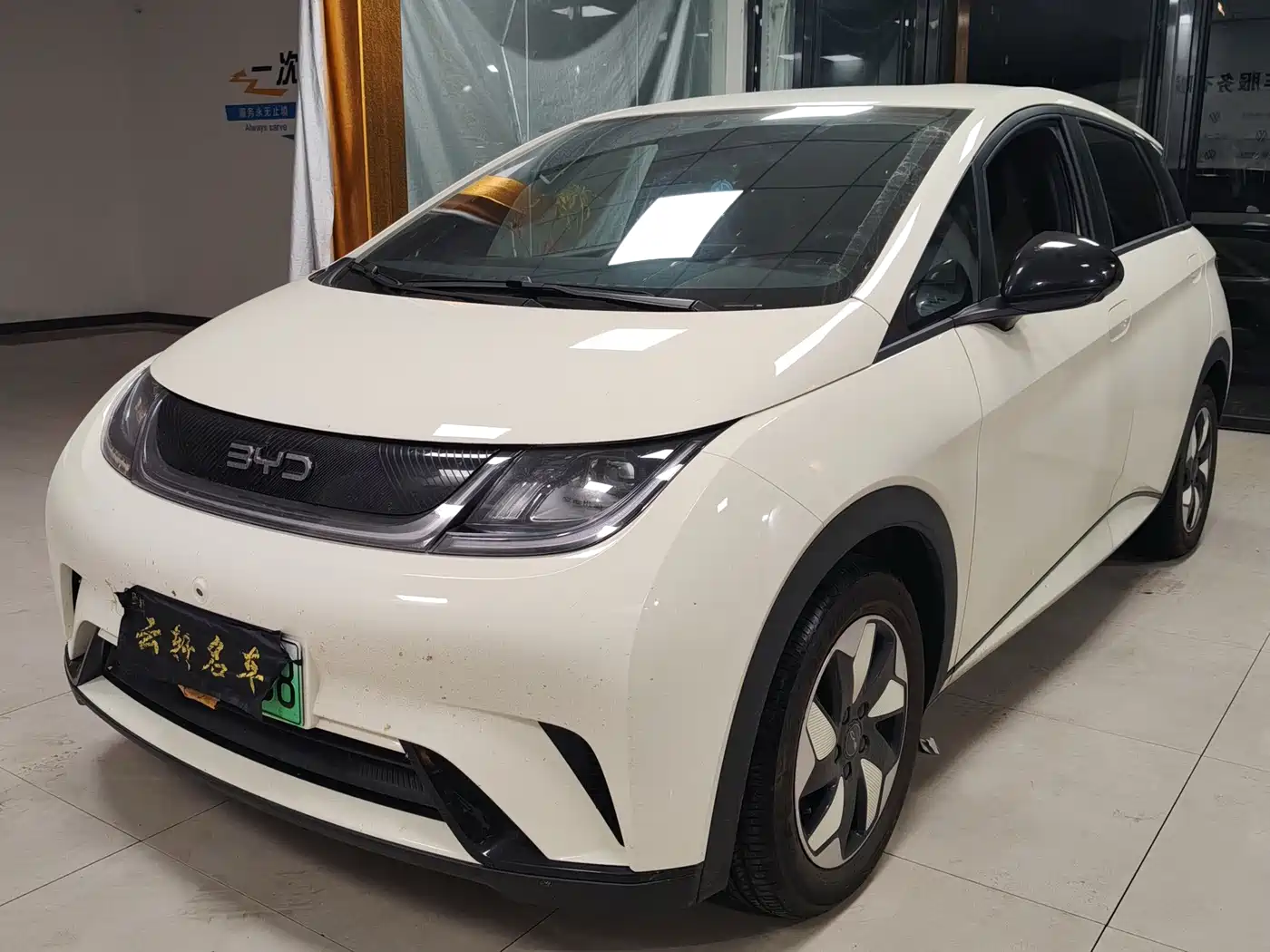 2026 BYD Dolphin