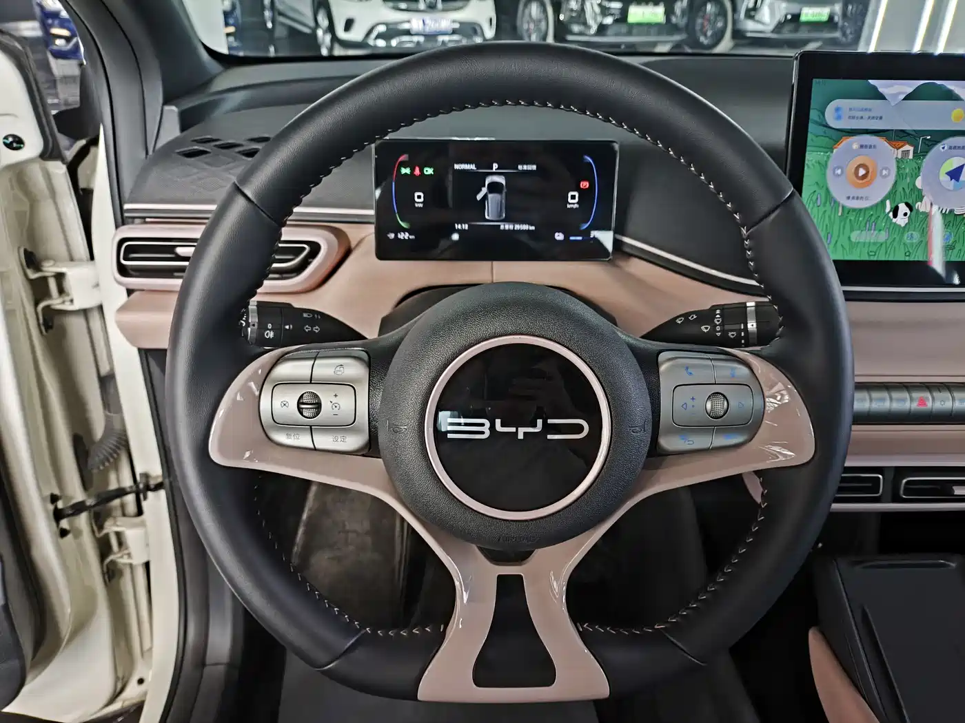 BYD Seagull 2024 Glory Edition 305km Freedom Edition фото 5