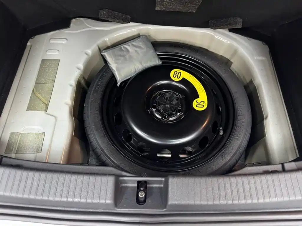 Volkswagen Tanying 2023 2021 1.5L Automatic Smart Connect Edition