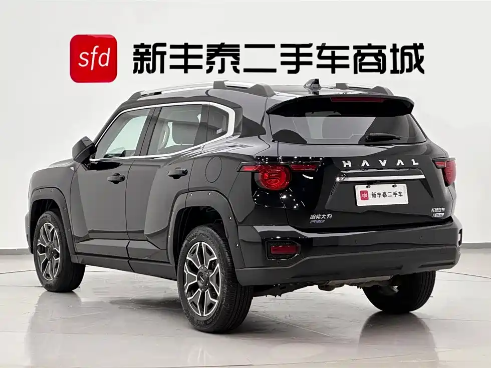 Haval Second-Generation Big Dog New Energy 2023 DHT-PHEV 105km Trendy Electric Edition Plus фото 6