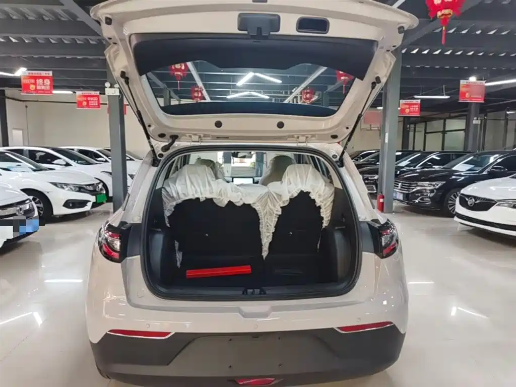 Geely Galaxy Starry Wish 2026 Edition 310km Youth Version фото 19