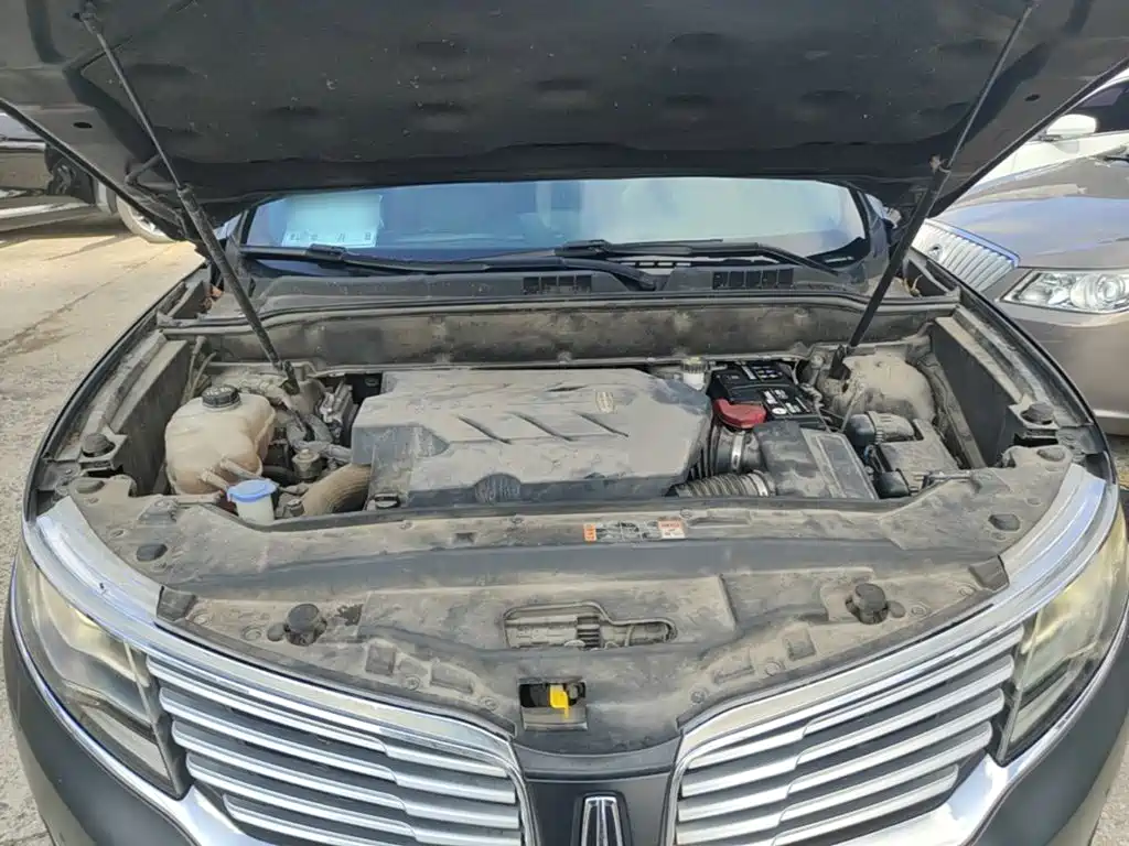 Photo 20 - Lincoln MKX