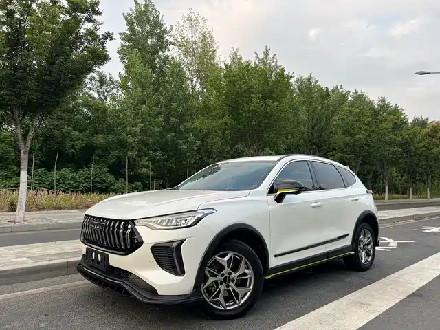 Haval Chitu 2022 Power Edition 1.5T Purple Copper Rabbit
