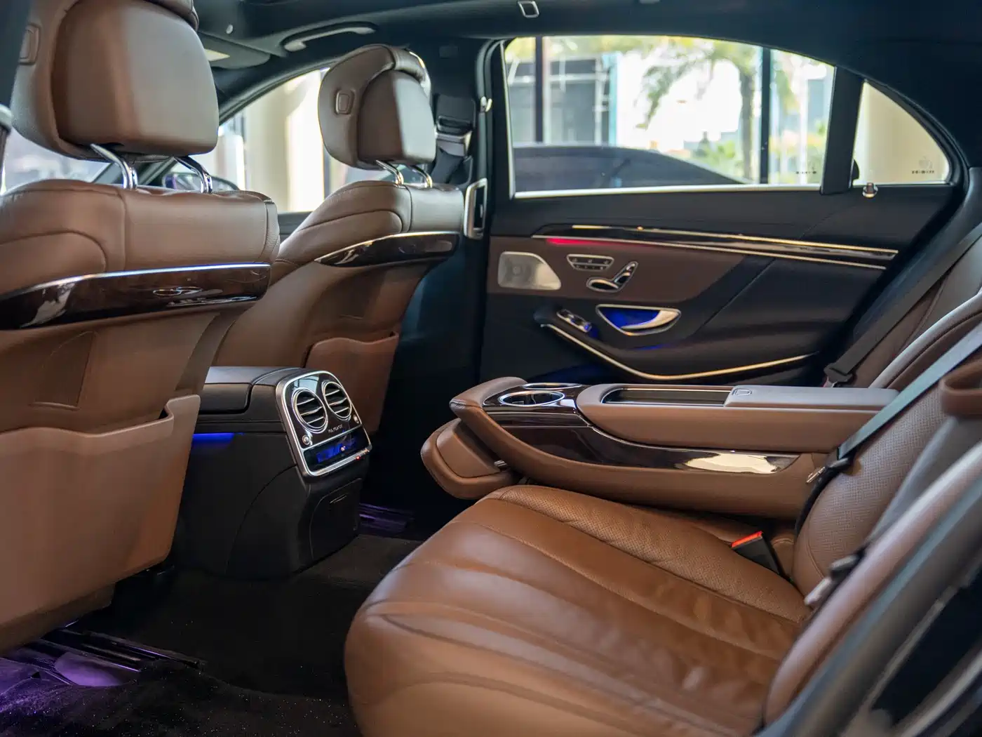 Mercedes-Benz S-Class 2020 S 350 L Premium Edition Collector's Version фото 13