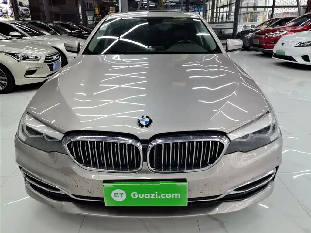BMW 5 Series 2018 Facelift 530Li Leading Luxury Package фото 3