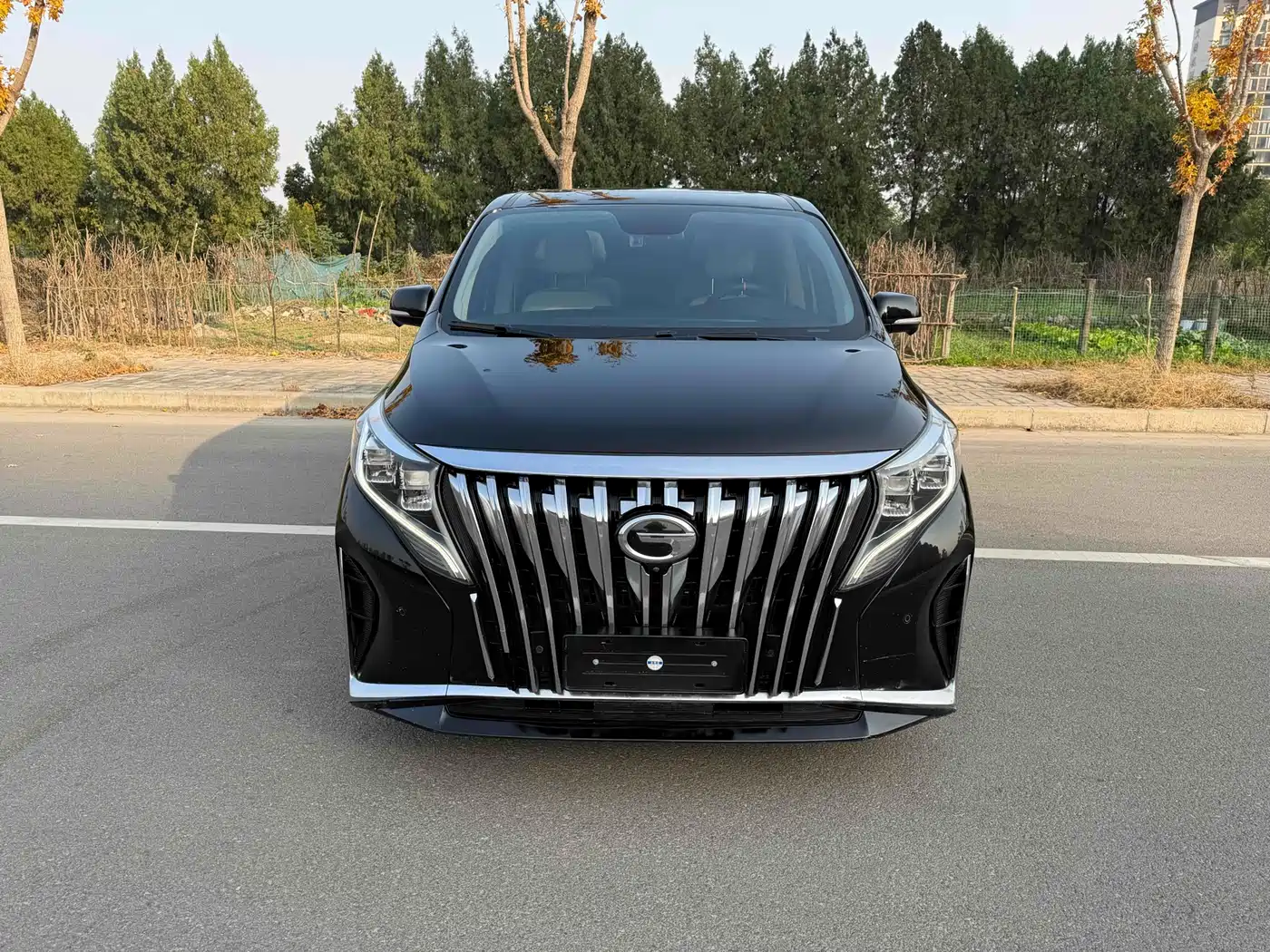 GAC Trumpchi Trumpchi M8 2021 Leading Show Series 390T Ultimate Edition фото 2