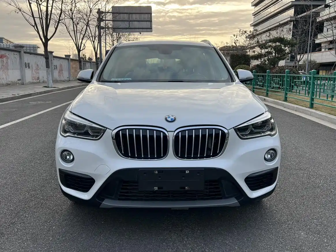 BMW X1 2019 sDrive20Li Leading Model фото 2