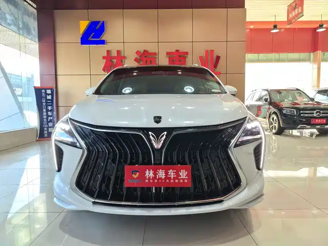 dongfeng popular-yachts