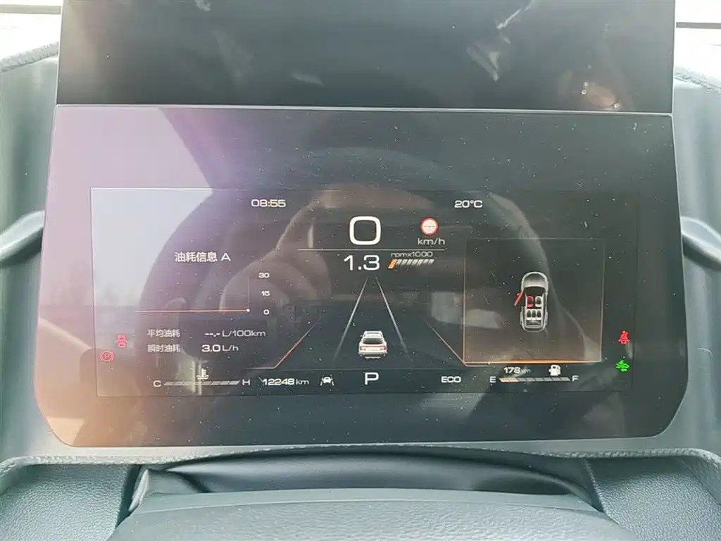 Haval Big Dog 2024 1.5T DCT Border Collie Edition фото 12