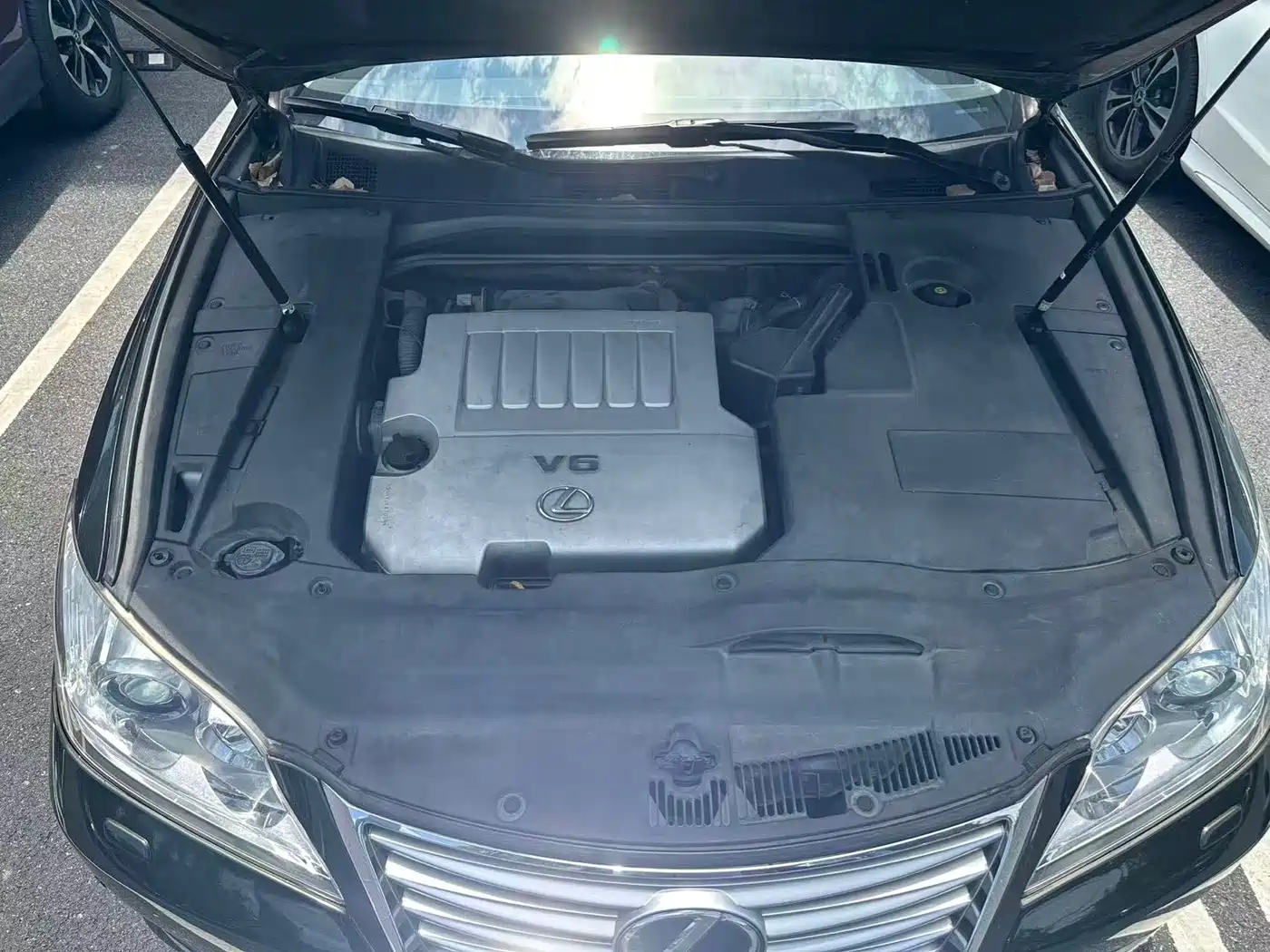 Lexus ES 2010 350 Elegance Edition фото 22