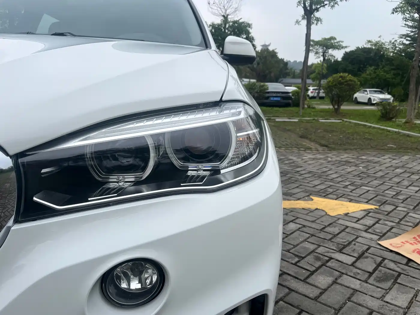 BMW X5 (Import) 2018 xDrive35i Elegant Model фото 12