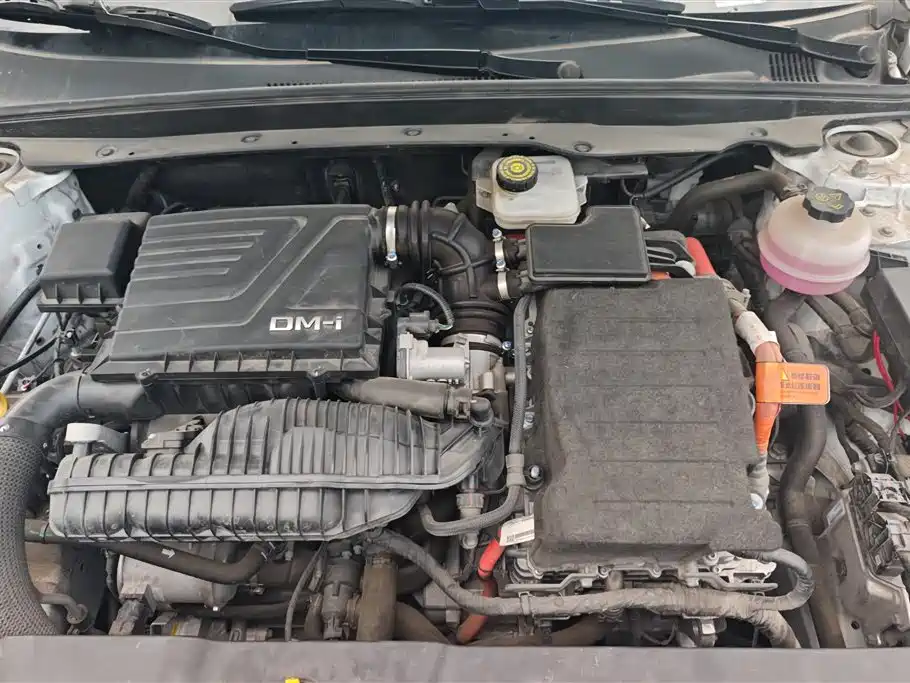 BYD Qin PLUS 2021 DM-i 120KM Flagship фото 10
