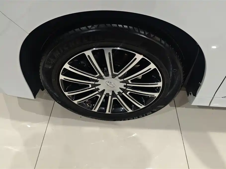 GAC Trumpchi Trumpchi M8 2021 Leading Show Series 390T Ultimate Edition фото 6