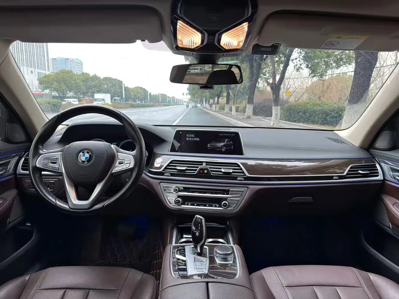 BMW 7 Series 2018 730Li Leading Type Excellence Package фото 11