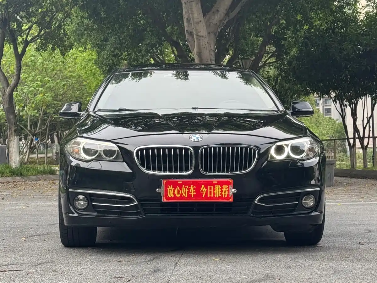 BMW 5 Series 2017 525Li Luxury Design Package фото 2