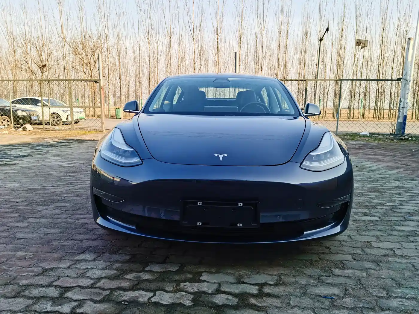 TESLA MODEL 3 (IMPORTED)