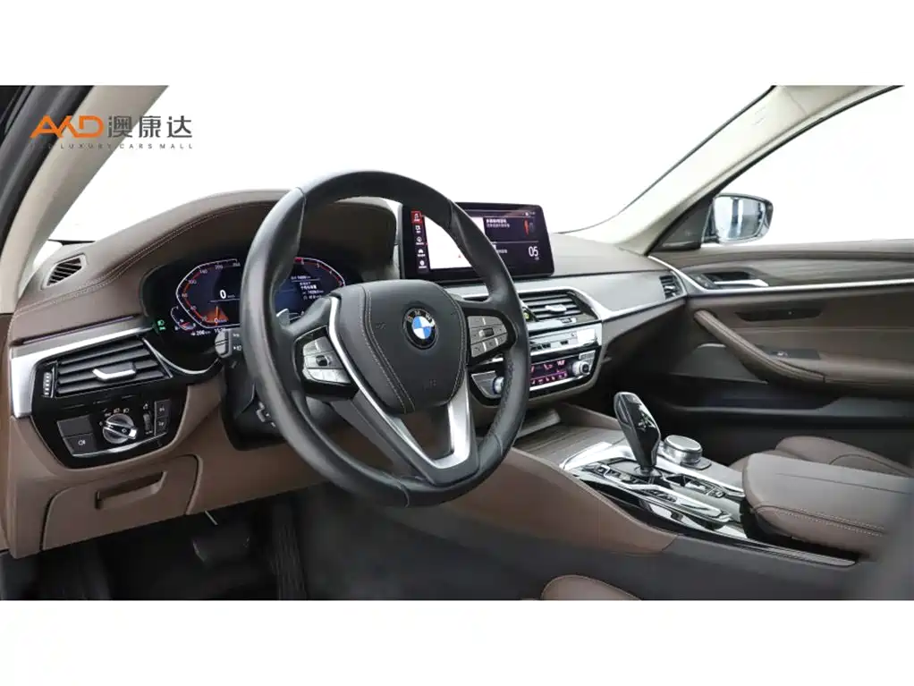 BMW 5 Series 2021 530Li Premium Luxury Package фото 6