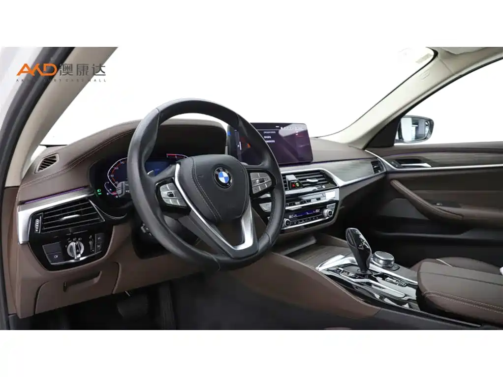 BMW 5 Series 2021 530Li Leading Luxury Package фото 6