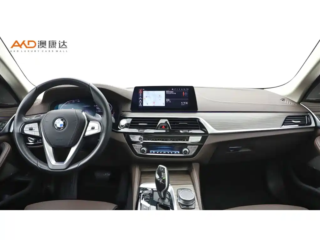 BMW 5 Series 2020 530Li Premium Luxury Package фото 5