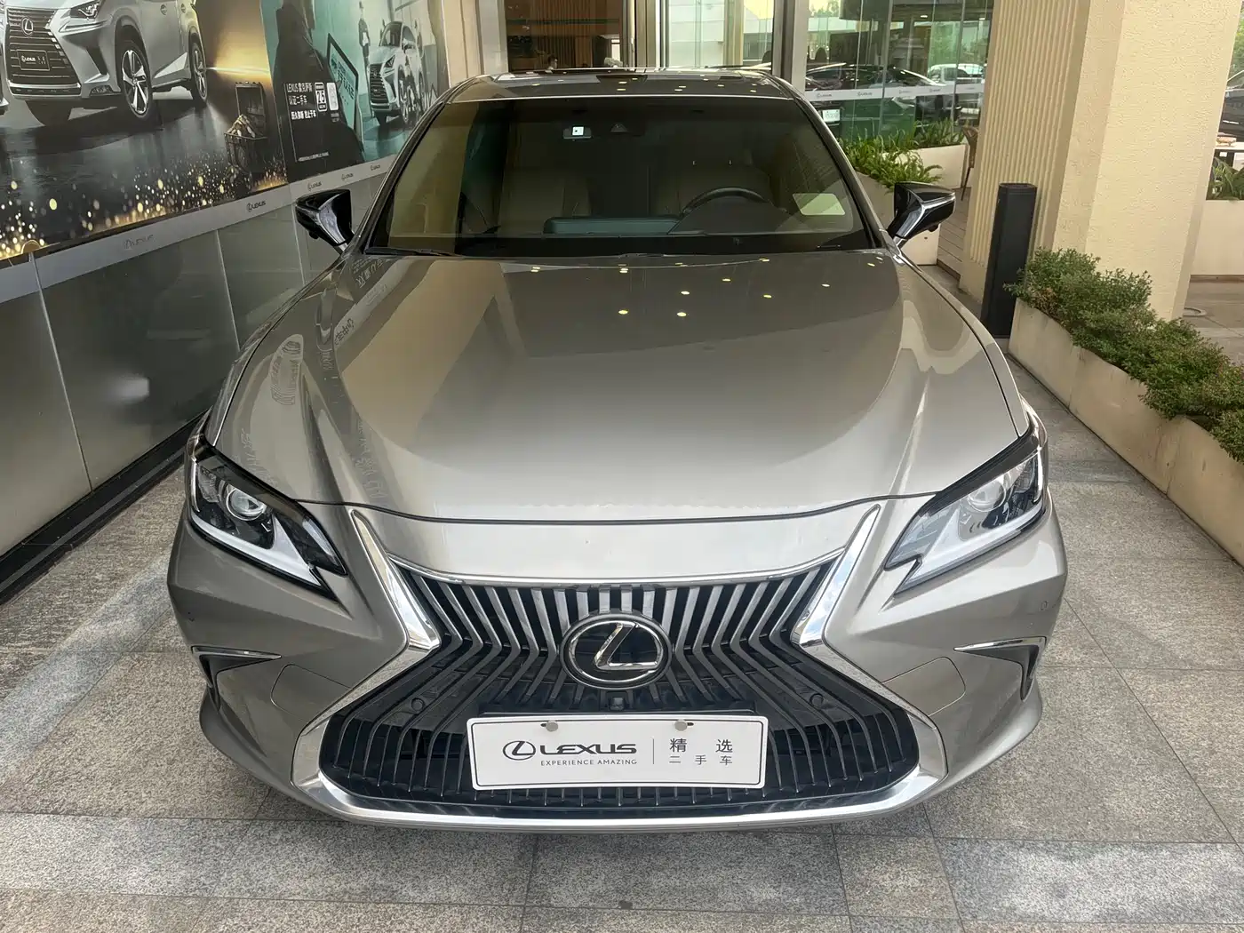 Lexus ES 2018 200 Luxury Edition China V фото 2