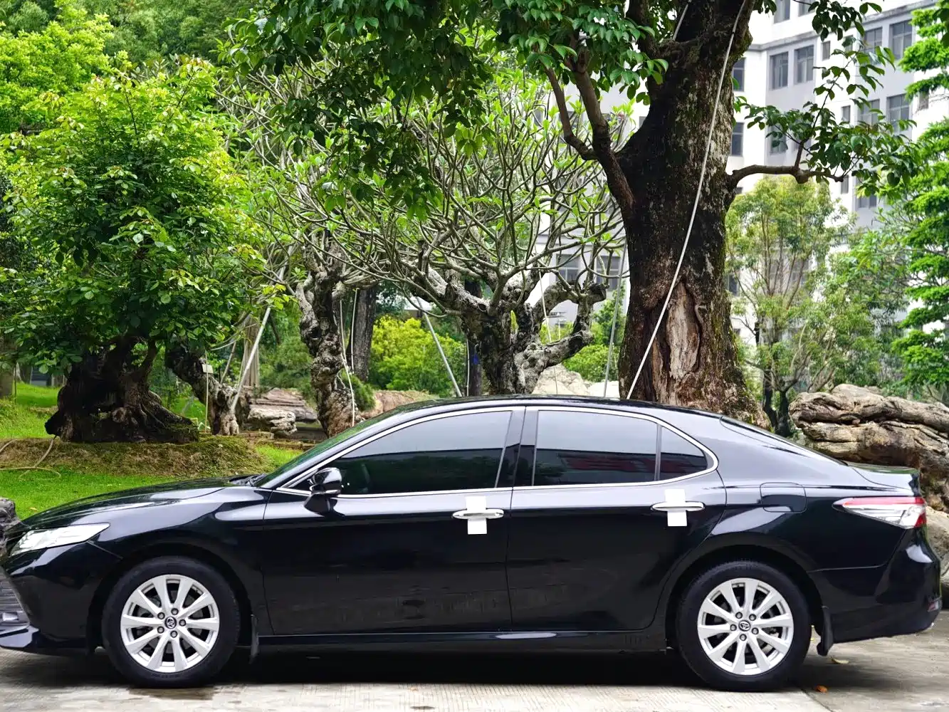 Toyota Camry 2019 2.0G Luxury Edition China VI фото 11