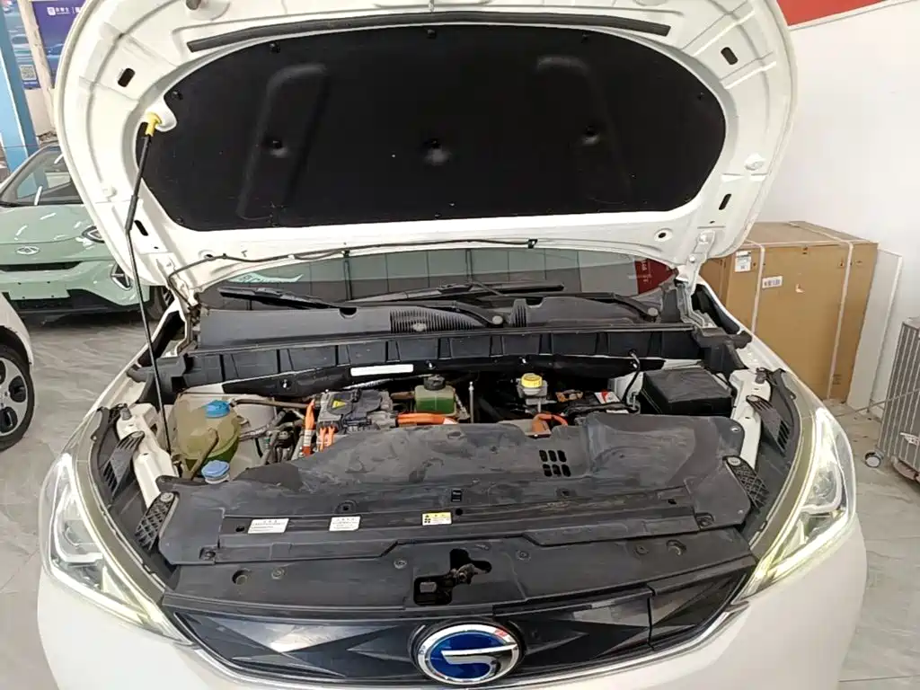 GAC Group Qizhi EV 2019 2019 EV530 Frontline Edition