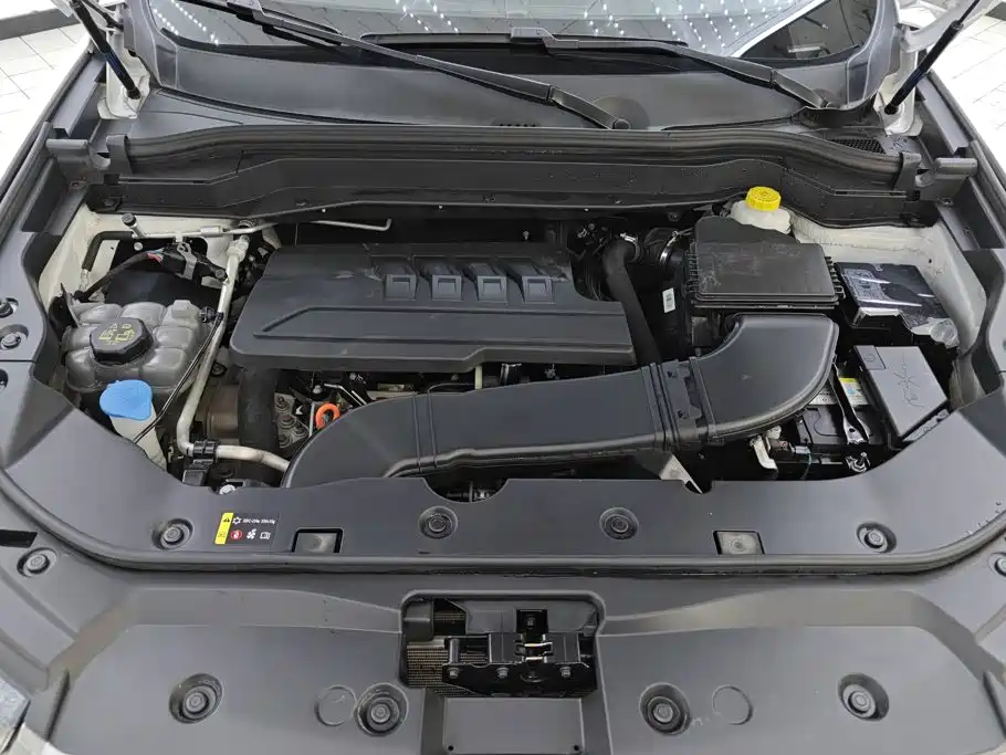 Haval H6 2024 2023 National Trend Edition 1.5T Automatic Urban
