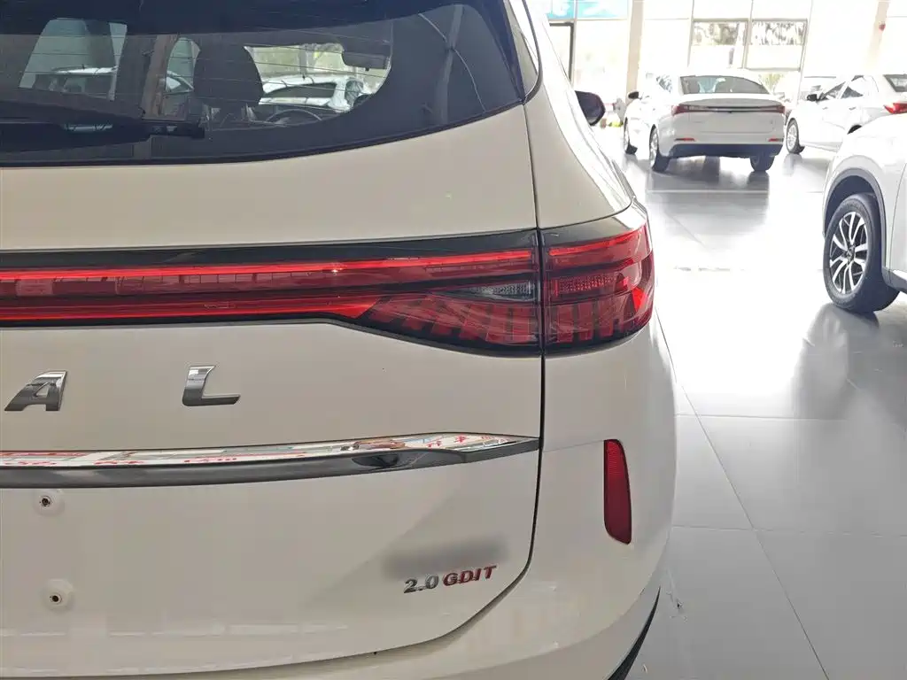 Haval H6 2021 3rd Generation 2.0T Auto AWD Max фото 24