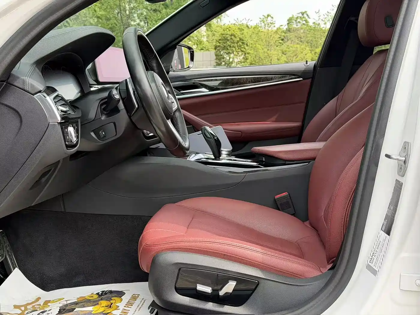 BMW 5 Series 2019 530Li Premium M Sport Package фото 28