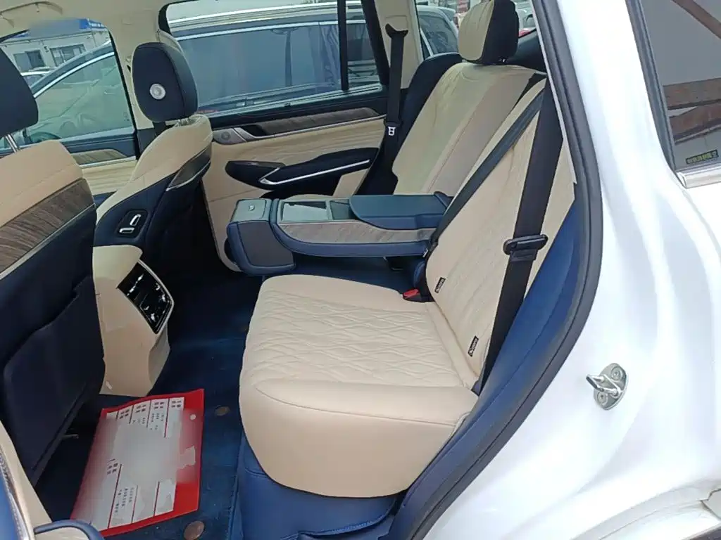 Tank 500 2022 2022 3.0T Business Edition Zaojing 5-Seater