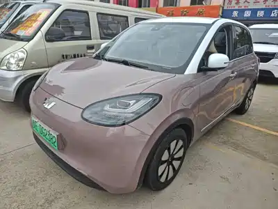 Wuling Bingo