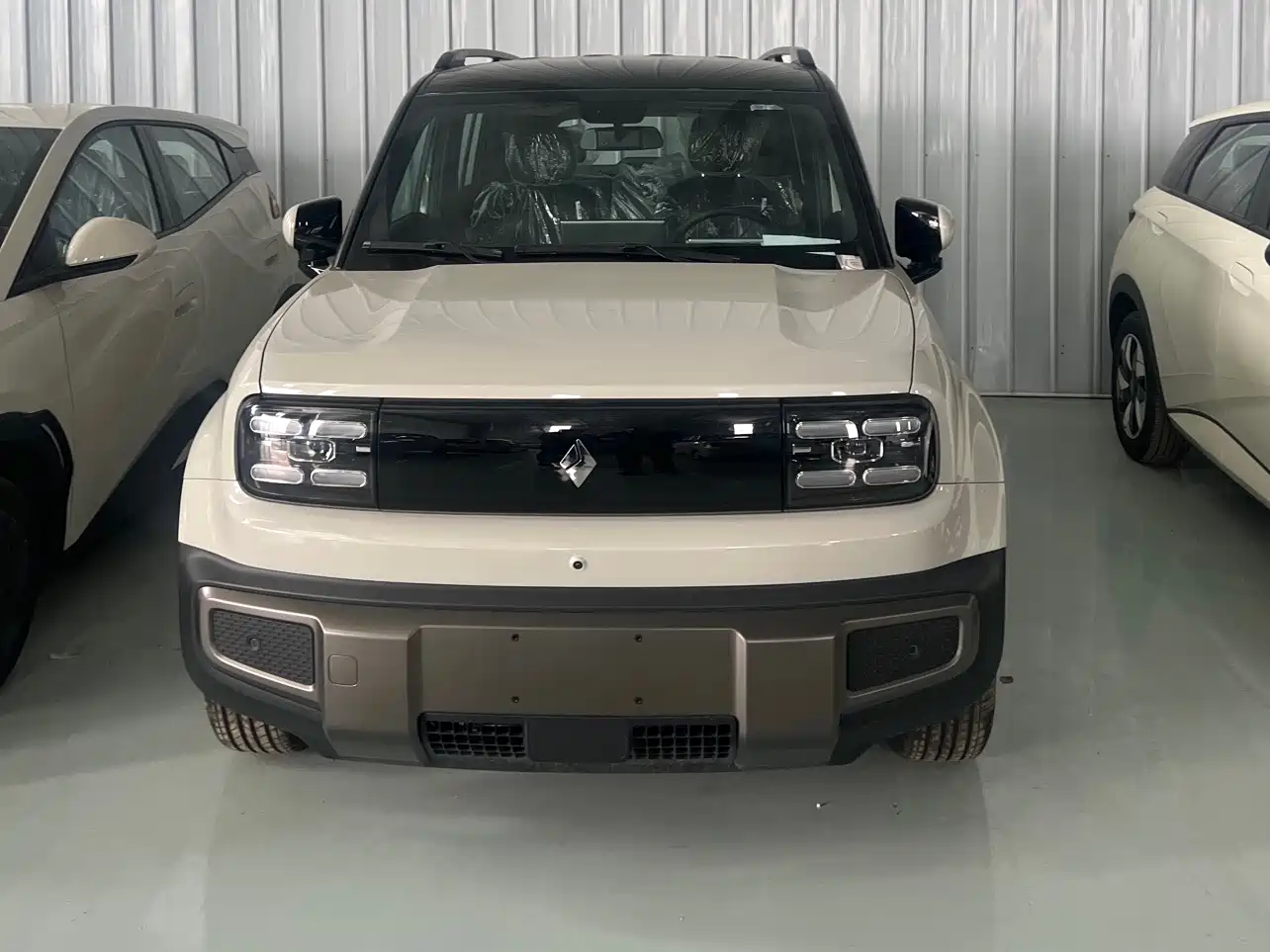 BAOJUN YUE ALSO PLUS