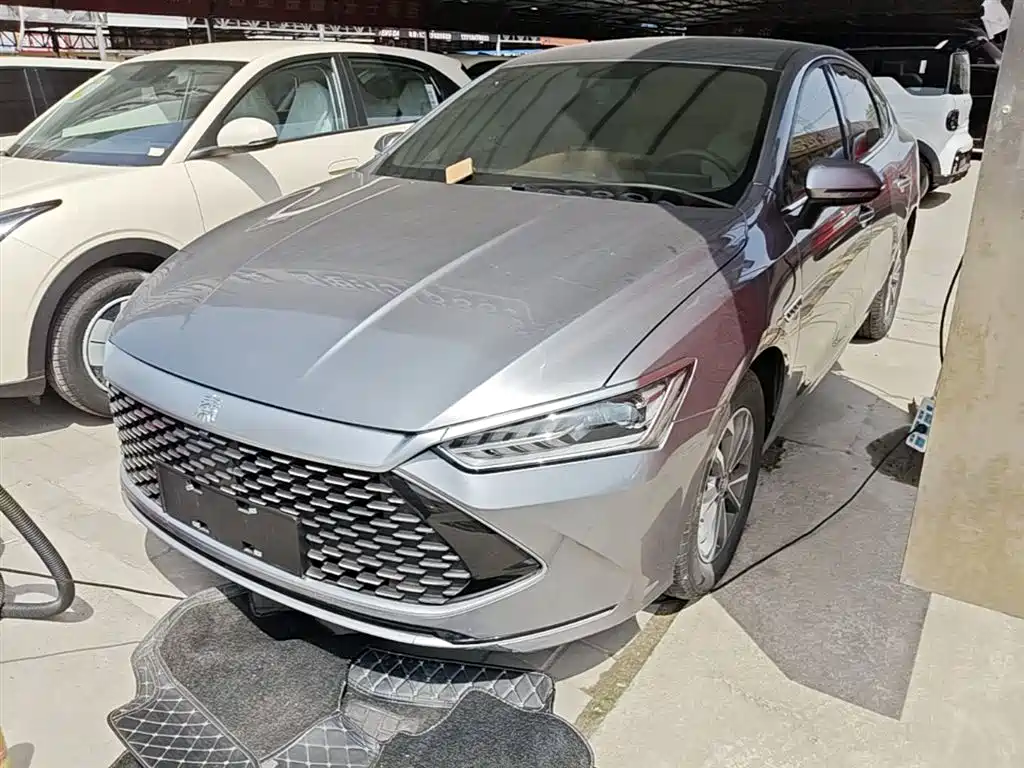 BYD Qin PLUS 2024 Glory Edition DM-i 55KM Leading фото 2