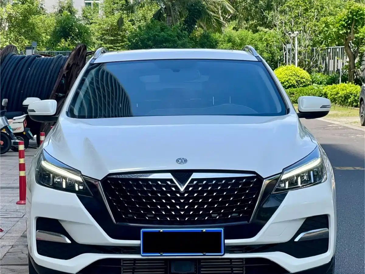 2021 Venucia T90